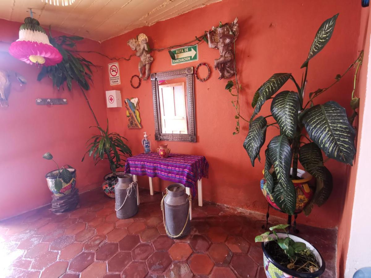 הוסטל סאן מיגל דה אלנדה La Casa Del Abuelo מראה חיצוני תמונה