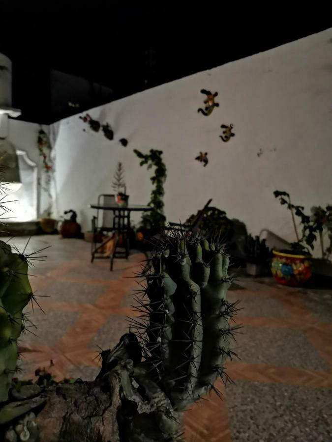 הוסטל סאן מיגל דה אלנדה La Casa Del Abuelo מראה חיצוני תמונה