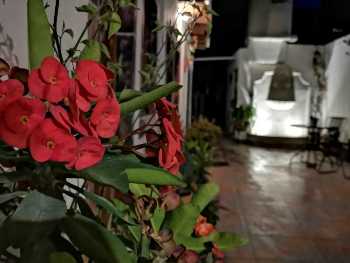 הוסטל סאן מיגל דה אלנדה La Casa Del Abuelo מראה חיצוני תמונה